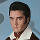 http://elvis-online.weebly.com/uploads/2/1/1/6/21166738/1420284737.png